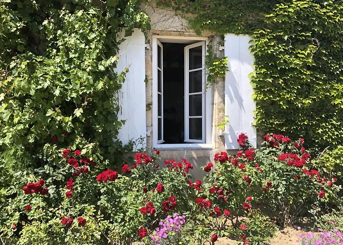 Ferienhaus Grande Demeure Caracteristique Du Xviie Siecle, Climatisation, Draps Et Menage Inclus - Fr-1-489-126 Deux-Chaises